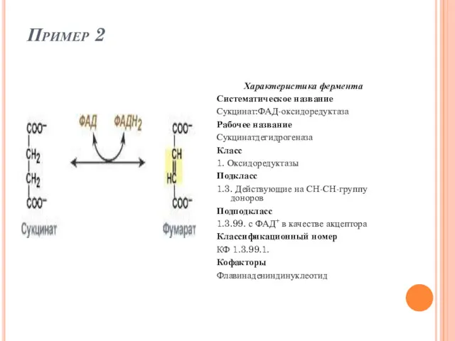 Пример 2 Характеристика фермента Систематическое название Сукцинат:ФАД-оксидоредуктаза Рабочее название Сукцинатдегидрогеназа