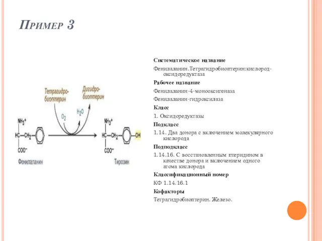 Пример 3 Систематическое название Фенилаланин.Тетрагидробиоптерин:кислород-оксидоредуктаза Рабочее название Фенилаланин-4-монооксигеназа Фенилаланин-гидроксилаза Класс