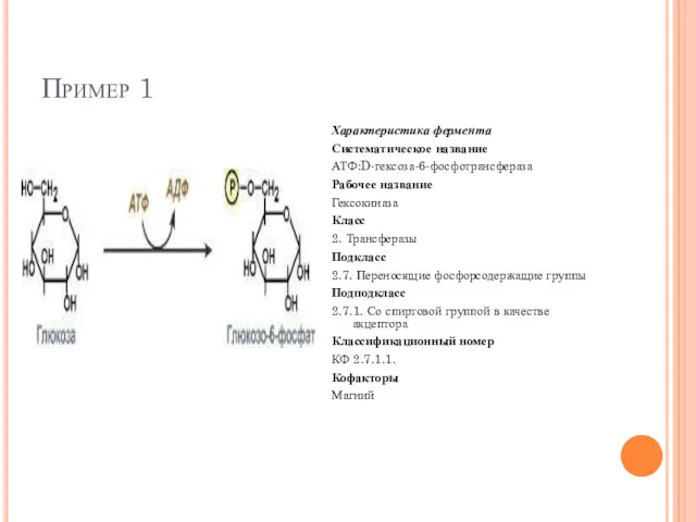Пример 1 Характеристика фермента Систематическое название АТФ:D-гексоза-6-фосфотрансфераза Рабочее название Гексокиназа