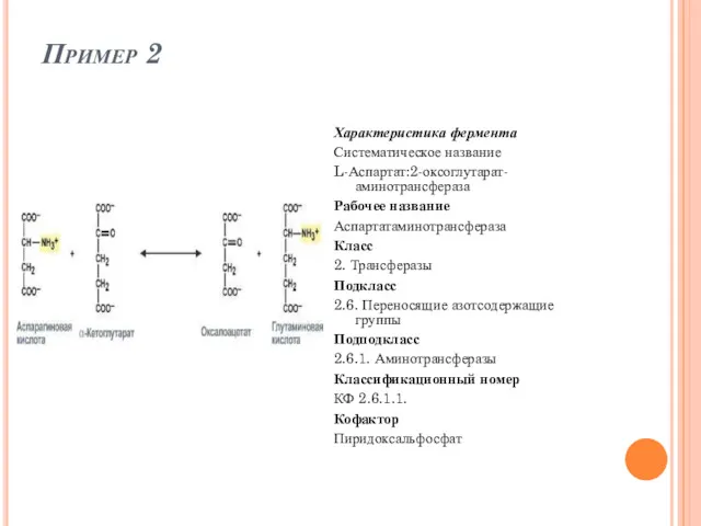 Пример 2 Характеристика фермента Систематическое название L-Аспартат:2-оксоглутарат-аминотрансфераза Рабочее название Аспартатаминотрансфераза