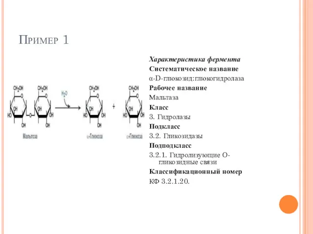 Пример 1 Характеристика фермента Систематическое название α-D-глюкозид:глюкогидролаза Рабочее название Мальтаза