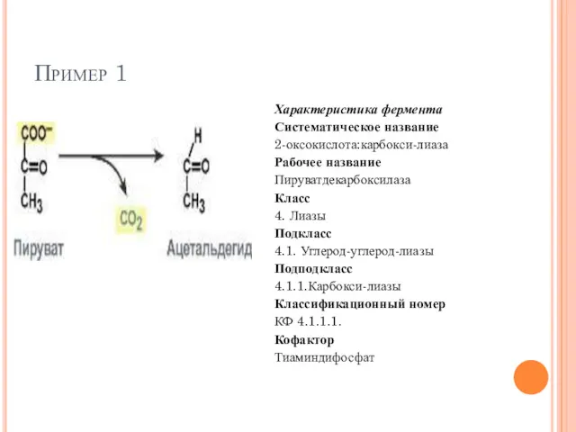 Пример 1 Характеристика фермента Систематическое название 2-оксокислота:карбокси-лиаза Рабочее название Пируватдекарбоксилаза
