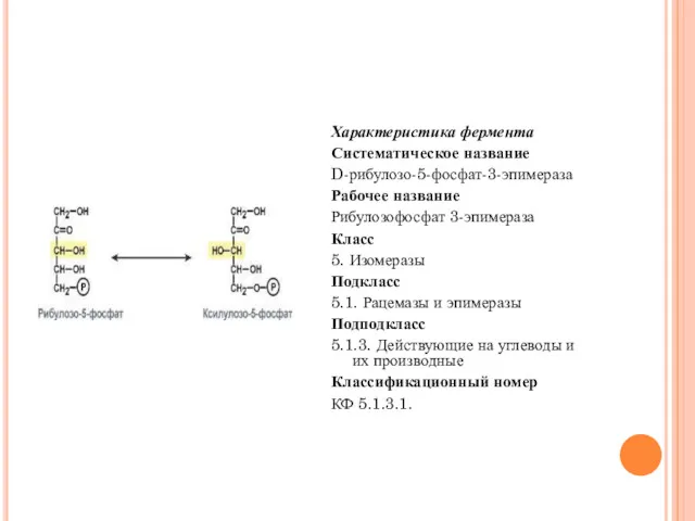 Характеристика фермента Систематическое название D-рибулозо-5-фосфат-3-эпимераза Рабочее название Рибулозофосфат 3-эпимераза Класс