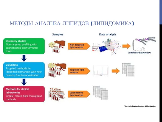 МЕТОДЫ АНАЛИЗА ЛИПИДОВ (ЛИПИДОМИКА)