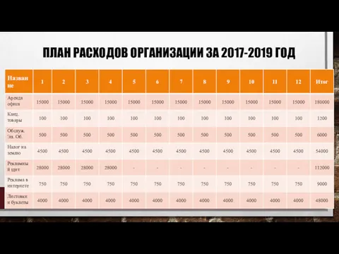 ПЛАН РАСХОДОВ ОРГАНИЗАЦИИ ЗА 2017-2019 ГОД