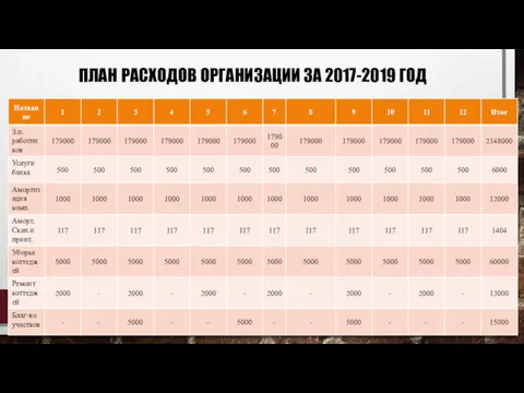 ПЛАН РАСХОДОВ ОРГАНИЗАЦИИ ЗА 2017-2019 ГОД