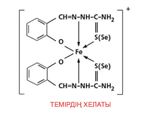 ТЕМІРДІҢ ХЕЛАТЫ