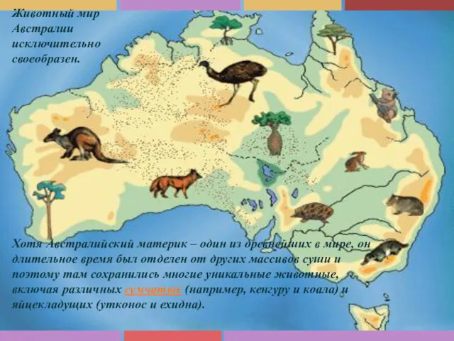Хотя Австралийский материк – один из древнейших в мире, он