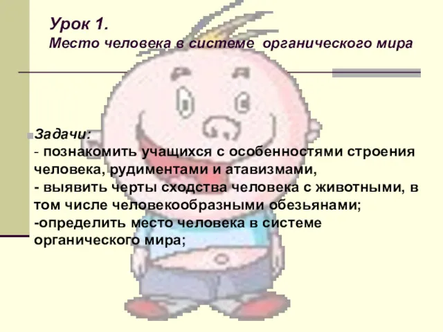 Задачи: - познакомить учащихся с особенностями строения человека, рудиментами и