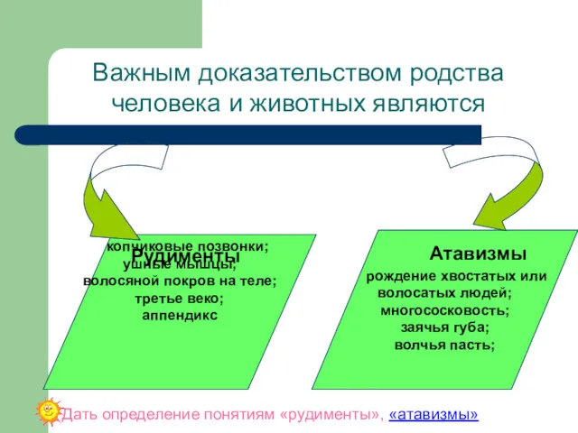 Важным доказательством родства человека и животных являются рождение хвостатых или