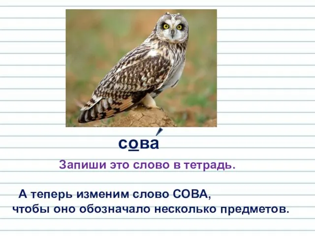 сова Запиши это слово в тетрадь. А теперь изменим слово СОВА, чтобы оно обозначало несколько предметов.