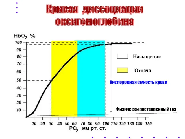Кривая диссоциации оксигемоглобина Насыщение Отдача Кислородная емкость крови Физически растворенный газ