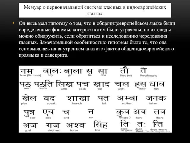 Он высказал гипотезу о том, что в общеиндоевропейском языке были