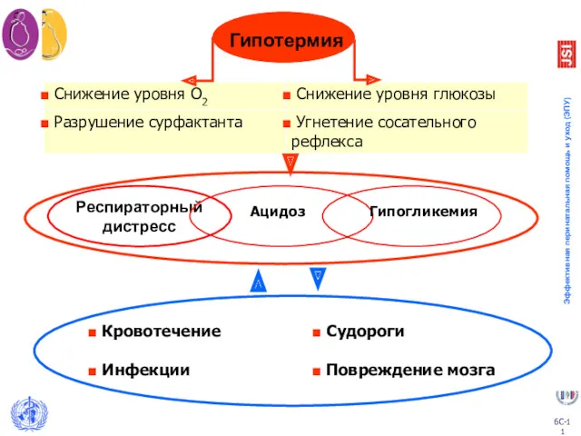 Гипотермия Ацидоз Гипогликемия