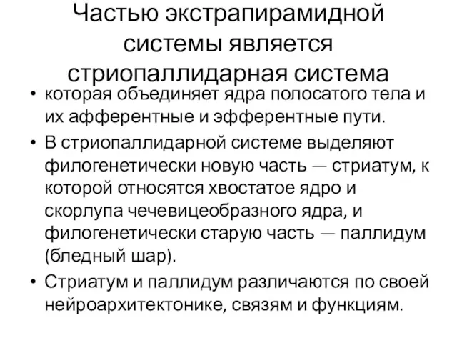 Частью экстрапирамидной системы является стриопаллидарная система которая объединяет ядра полосатого