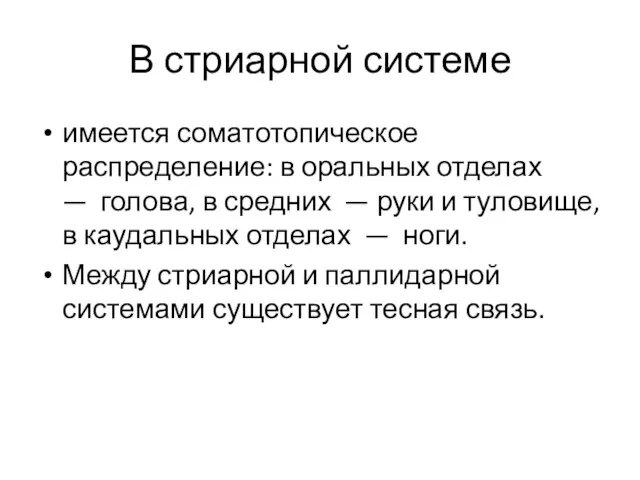 В стриарной системе имеется соматотопическое распределение: в оральных отделах —