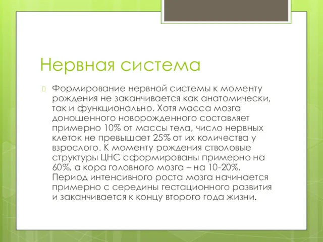 Нервная система Формирование нервной системы к моменту рождения не заканчивается