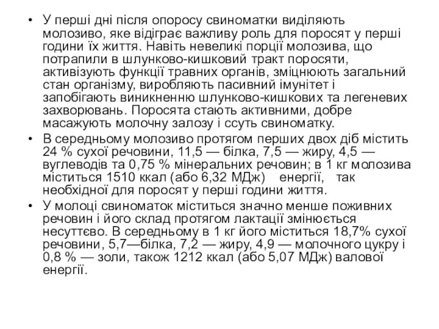 У перші дні після опоросу свиномат­ки виділяють молозиво, яке відіграє