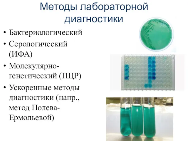 Методы лабораторной диагностики Бактериологический Серологический (ИФА) Молекулярно-генетический (ПЦР) Ускоренные методы диагностики (напр., метод Полева-Ермольевой)