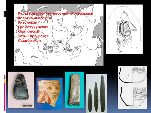 Культура ямочно-гребенчатой керамики Кельтиминарская Китойская Громатухинская Осиповская Усть-Каренгская Сыалахская