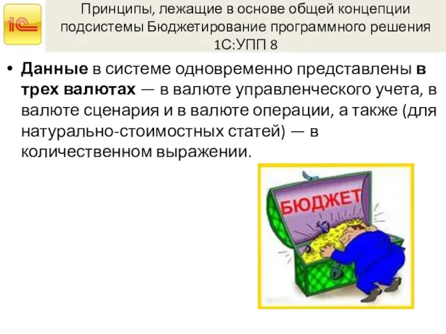 Принципы, лежащие в основе общей концепции подсистемы Бюджетирование программного решения