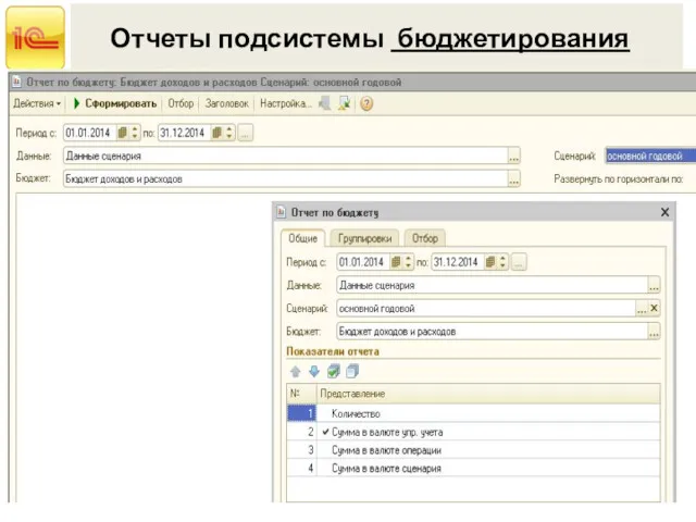 Отчеты подсистемы бюджетирования