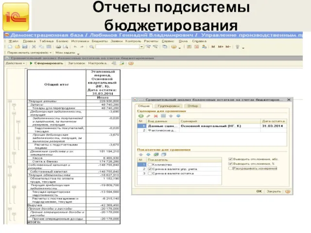 Отчеты подсистемы бюджетирования