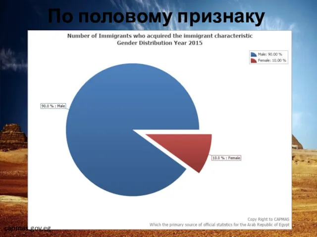 По половому признаку capmas.gov.eg