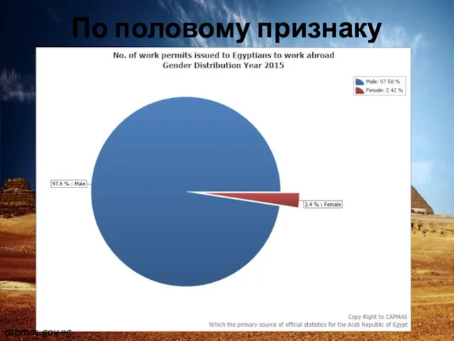 По половому признаку capmas.gov.eg