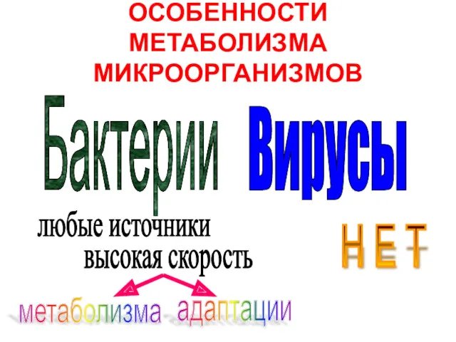 ОСОБЕННОСТИ МЕТАБОЛИЗМА МИКРООРГАНИЗМОВ Бактерии Вирусы любые источники высокая скорость метаболизма адаптации Н Е Т