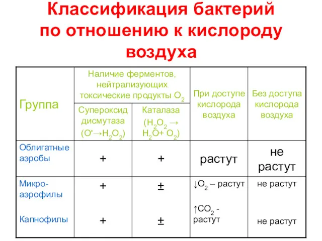 Классификация бактерий по отношению к кислороду воздуха