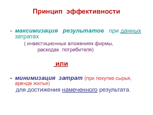 Принцип эффективности максимизация результатов при данных затратах ( инвестиционных вложениях