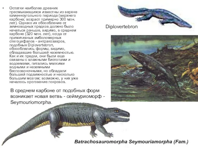 Остатки наиболее древних пресмыкающихся известны из верхне­каменноугольного периода (верхнего карбона; возраст примерно 300