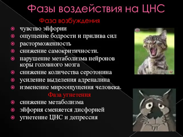 Фазы воздействия на ЦНС Фаза возбуждения чувство эйфории ощущение бодрости