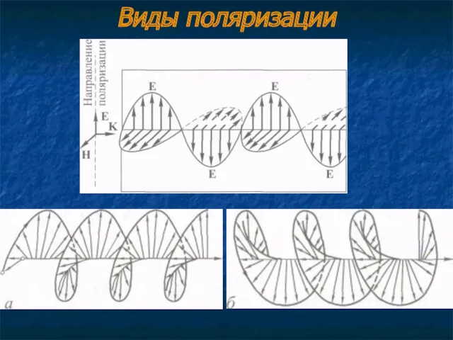 Виды поляризации