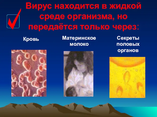 Вирус находится в жидкой среде организма, но передаётся только через: Кровь Материнское молоко Секреты половых органов