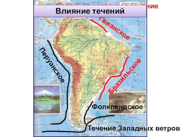 Гвианское Бразильское Перуанское Фолклендское Течение Западных ветров Северное пассатное течение Влияние течений