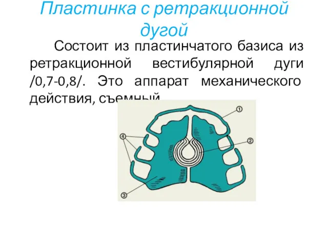 Пластинка с ретракционной дугой Состоит из пластинчатого базиса из ретракционной