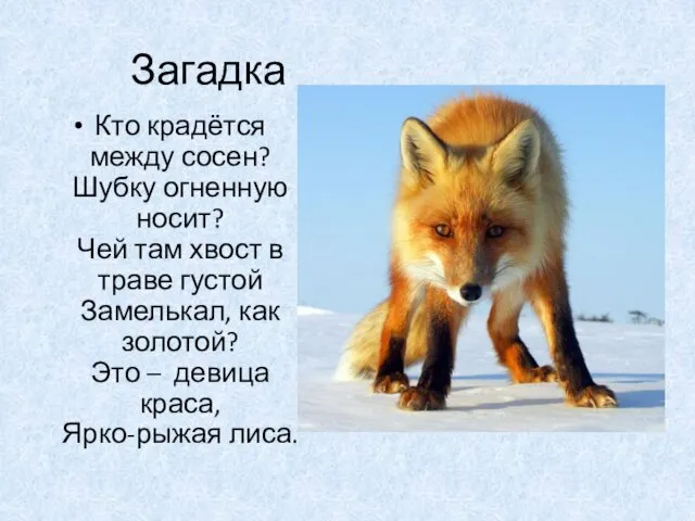 Загадка Кто крадётся между сосен? Шубку огненную носит? Чей там