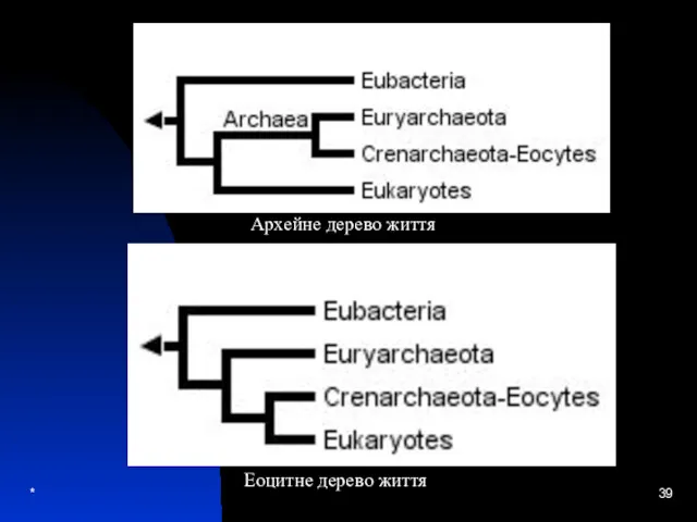 * Архейне дерево життя Еоцитне дерево життя