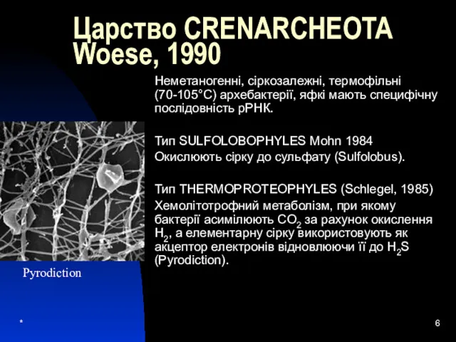 * Царство CRENARCHEOTA Woese, 1990 Неметаногенні, сіркозалежні, термофільні (70-105°С) архебактерії,