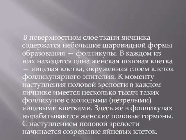 В поверхностном слое ткани яичника содержатся небольшие шаровидной формы образования