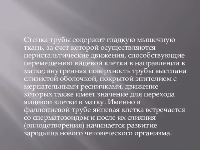 Стенка трубы содержит гладкую мышечную ткань, за счет которой осуществляются