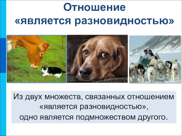 Отношение «является разновидностью» Из двух множеств, связанных отношением «является разновидностью», одно является подмножеством другого.