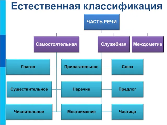 Естественная классификация