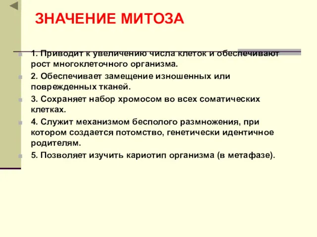 ЗНАЧЕНИЕ МИТОЗА 1. Приводит к увеличению числа клеток и обеспечивают