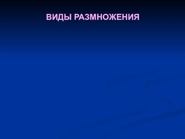 ВИДЫ РАЗМНОЖЕНИЯ