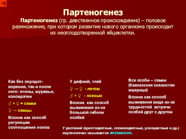 Партеногенез Партеногенез (гр. девственное происхождение) – половое размножение, при котором