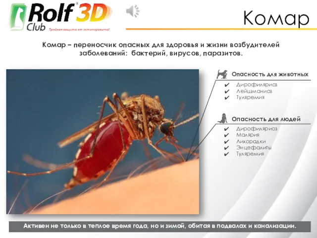 Комар Комар – переносчик опасных для здоровья и жизни возбудителей