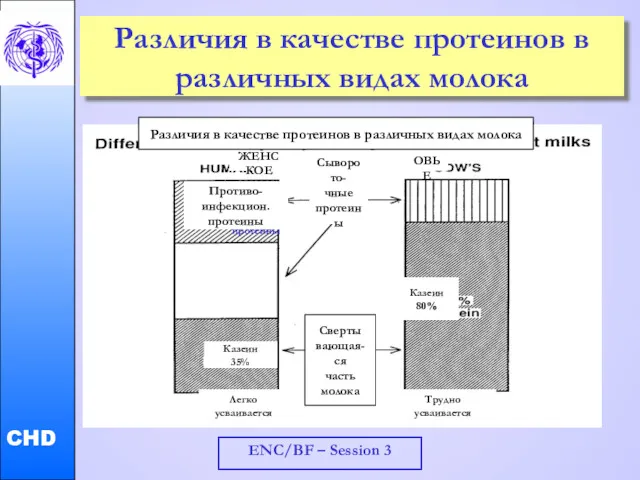 ENC/BF – Session 3 Различия в качестве протеинов в различных